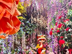 -正佳雨林生态植物园