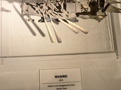 -中国港口博物馆