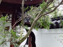 -汇龙潭