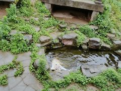 -宁波野生动物园