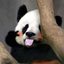 -红人馆造型世爵国际