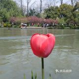 扬州瘦西湖