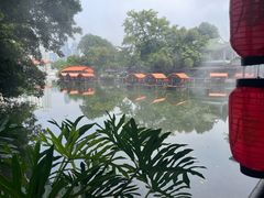 -侨美·唐荔园·40年地道粤菜