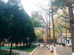 -山东大学(趵突泉校区)