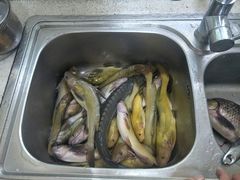 -重庆海昌加勒比海水世界