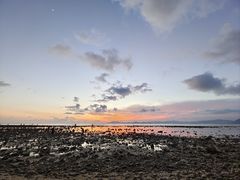 -三亚西岛海洋文化旅游区