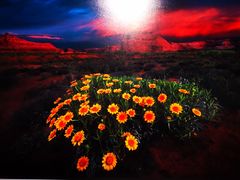 -罗红摄影艺术馆