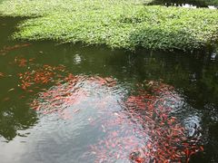 -普陀山风景名胜区-法雨禅寺