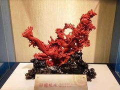 -绮丽珊瑚(台北101旗舰门市店)