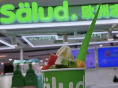 -Salud撒露欧洲冻酸奶(蓝色港湾店)