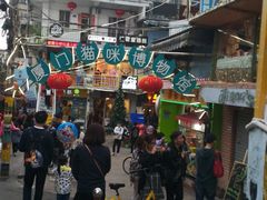 -猫咪博物馆(顶澳仔猫街店)