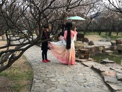-香雪海