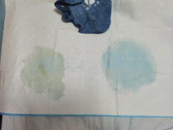 -瑞晨曦催乳产后健康(枣园店)