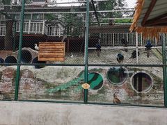 -北京鹿世界主题园