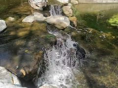 -白水寺森林公园