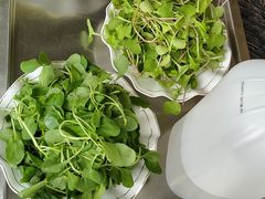 -1369冰火锅(木北路店)