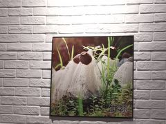 -菌乡缘·野生菌蒸汽鱼火锅(江边夜市店)