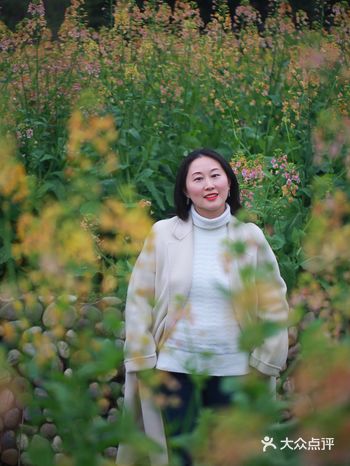 杭州｜西溪绿堤～五彩油菜花田已盛开