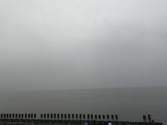 -碧海金沙