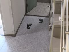 店内-新达口腔(华东理工大学店)