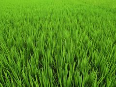 -渔闻农家菜