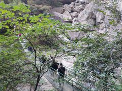 -洛阳白云山景区