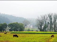 -新安江山水画廊风景区