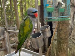 -昆山城市生态森林公园