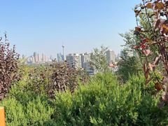-南翠屏公园