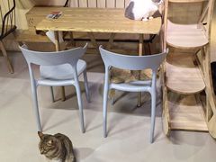 -豆逗聊愈猫阁Easy Life