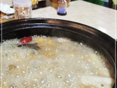 -蘑统田下·野生菌火锅