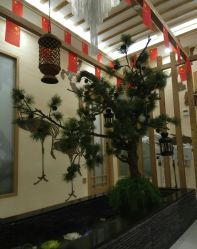 -芳朵美容养生SPA