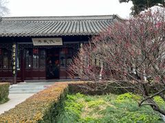 -梅园
