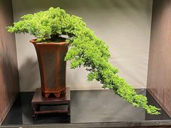 -双季花艺园艺市场(浦东店)
