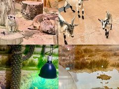 -正佳雨林生态植物园