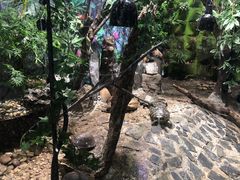 -上海大自然野生昆虫馆(东方明珠·爬宠昆虫探索中心)