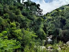 -海南热带雨林国家公园吊罗山景区