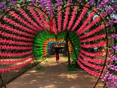 -北海金海湾红树林生态旅游区