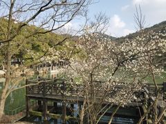 -白马涧龙池景区