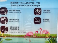 -九龙公园