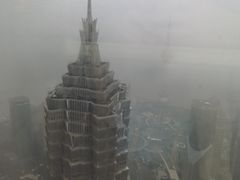 -上海柏悦酒店·世纪100牛排馆