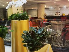 -大连心悦大酒店