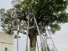-观潮胜地公园