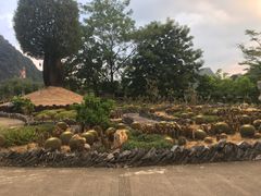 -Club Med地中海俱乐部·桂林度假村