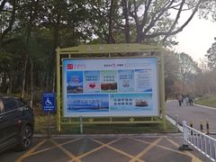 -青枫公园