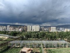 -青藏高原野生动物园