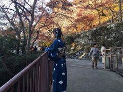 -有栖山 清光院 清水寺