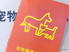 -猫十亿·布偶金渐层·曼基康矮脚猫舍(青年路店)