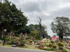 -南宁南湖公园