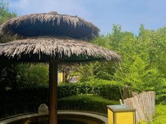 -大连金石滩绿发温泉假日酒店
